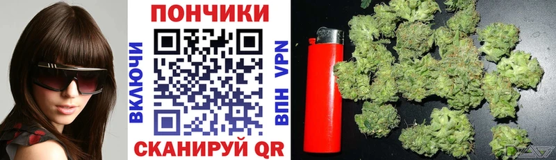 darknet телеграм  KRAKEN рабочий сайт  Суворов  Бошки Шишки индика 